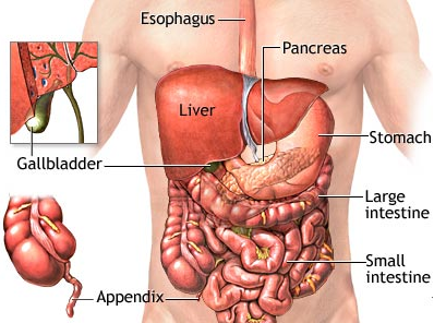 Causes of Abdominal Pain After Meal